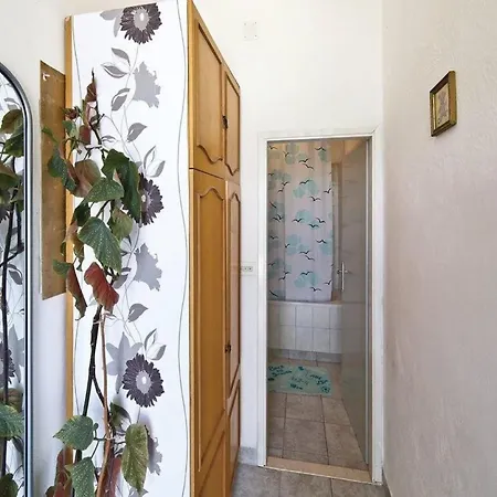 Halilovi - Τρογκίρ